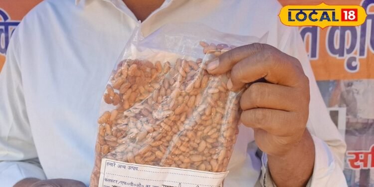 यह राजमा अच्छे-अच्छे बाजारू राजमा को दे रहा मात! एक बार खाने के बाद सालों याद रहता है इसका स्वाद