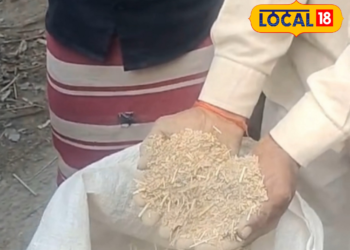 गेहूं में मिट्टी या मिट्टी में गेहूं, पीलीभीत में खुली लोगों को बांटे जाने वाले राशन की पोल