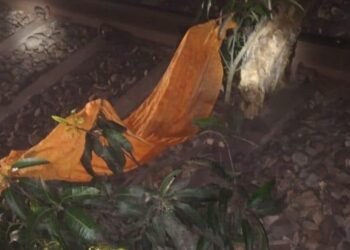 लखनऊ में ट्रेन पलटाने की साजिश नाकाम, गरीब रथ के लोको पायलट की सतर्कता से टला बड़ा हादसा