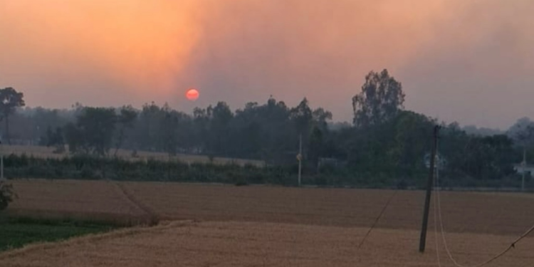 पीलीभीत टाइगर रिजर्व में इन दिनों हो रही ऐसी चीज, उठ रहे सवाल, पुष्टि होना बाकी