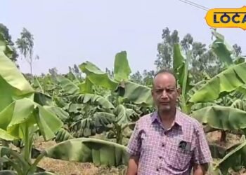 अमेठी के इन किसानों ने बदली खेती की धारा, सुर्खियों ने इनके अनूठे आइडिया