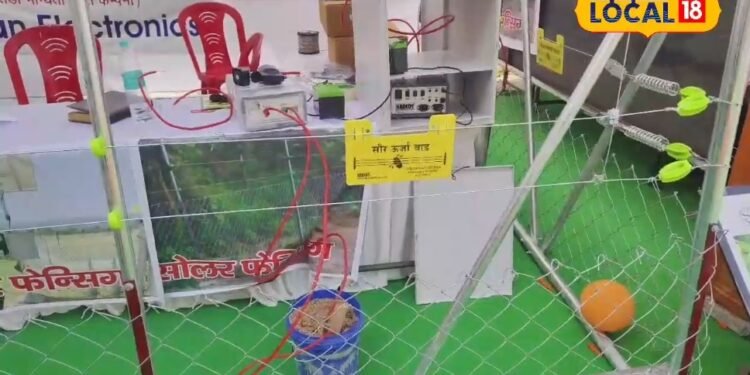 किसानों के लिए बड़ी खुशखबरी! अब खेतों में नहीं घुसेंगे आवारा पशु, सरकार ने शुरू की नई योजना, जानिए