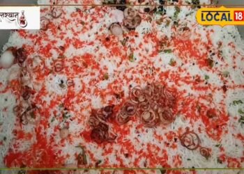 यहां से शुरू हुई बिरयानी की सल्तनत, चेन्नई-मद्रास समेत पूरे देश में मशहूर, एक-दो रुपए में भी मिलती है बिरयानी