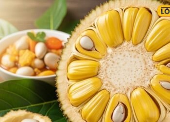 Home Remedies: मौसम बदलते ही बिगड़ जाता है पेट? तो आज़माओ ये देसी फार्मूला, उल्टी-दस्त और कमजोरी सब छूमंतर! – Uttar Pradesh News