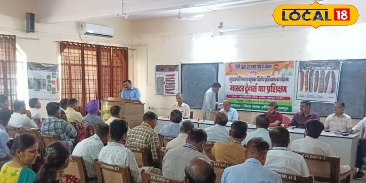 रामपुर के युवाओं के लिए सुनहरा मौका, 7 अगस्त को लगेगा रोजगार मेला, कई कंपनियां करेंगी मौके पर चयन