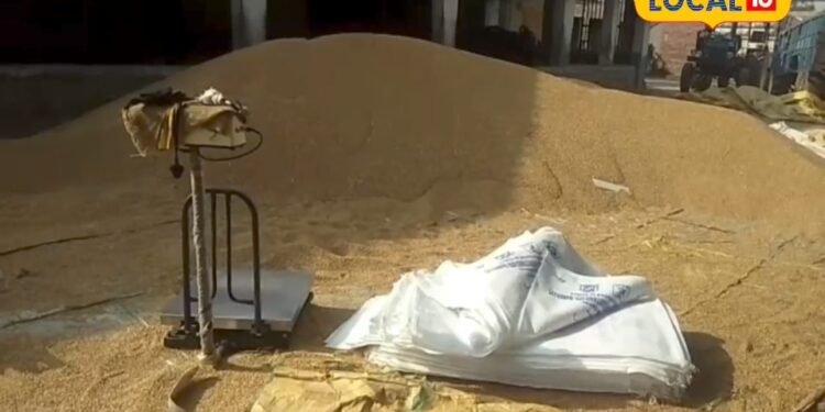बरसात में गेहूं का वजन बढ़ाने वाला ये देसी तरीका… कर देगा किसानों को कंगाल! भूलकर भी न करें ट्राई – Uttar Pradesh News