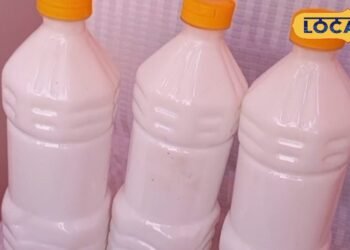 Success Story: गांव की महिलाओं ने मिलकर मात्र 10 हजार में शुरू किया यह काम, बदल गई तकदीर! आज कमा रहीं लाखों