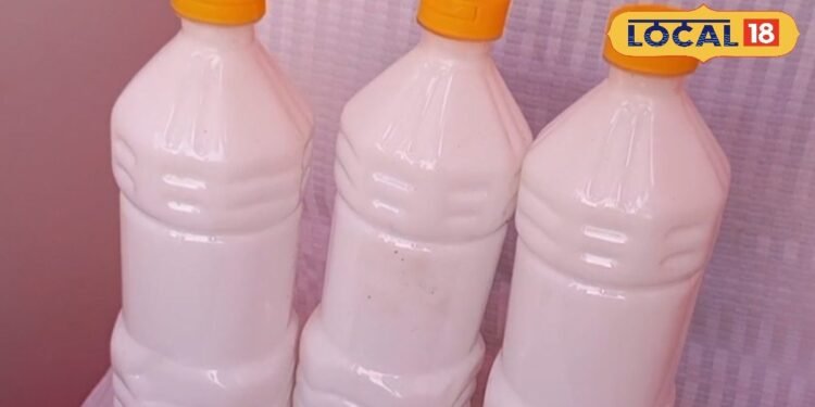 Success Story: गांव की महिलाओं ने मिलकर मात्र 10 हजार में शुरू किया यह काम, बदल गई तकदीर! आज कमा रहीं लाखों