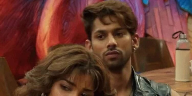 Bigg Boss 19: Basir Ali-Nehal Chudasama की बढ़ती नजदीकियां