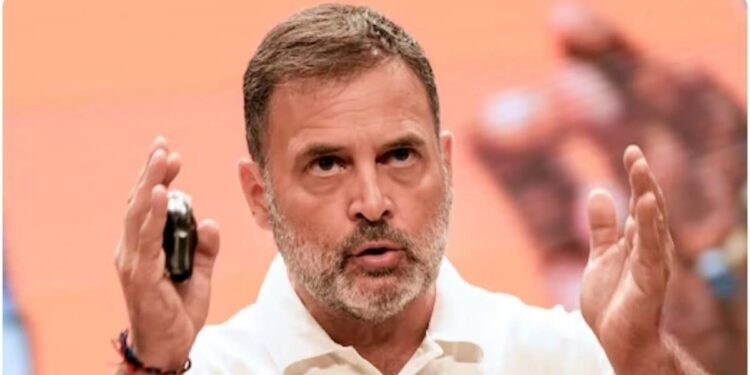 Sambhal News: मेरी लड़ाई ‘इंडियन स्टेट’ से है.. राहुल गांधी के इस बयान पर कोर्ट में फैसला सुरक्षित, 7 नवंबर को आएगा आदेश
