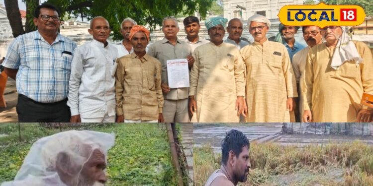 Ballia News: किसानों के टूट गए सारे सपने, बिखर गई बंपर पैदावार की उम्मीद, फसलें बर्बाद; अब बस जिंदा है आस