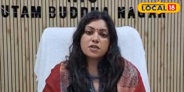 SIR फॉर्म भरने में आ रही दिक्कत? तुरंत करें कॉल, डीएम मेधा रूपम ने जारी किए हेल्पलाइन नंबर