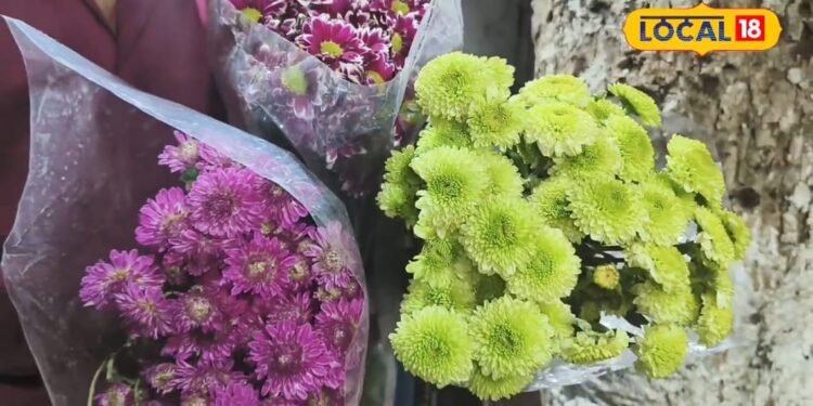 फूलों के गुलदस्ते और फ्लॉवर पॉट से घर को करना है डेकोरेट, ये है बेस्ट मार्केट