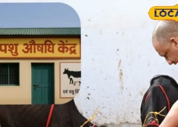 अब पशुओं की सेहत से नहीं करना पडे़गा समझौता, खुलेंगे पशु औषधि केंद्र जहां मिलेंगी मार्केट से सस्ती दवाएं