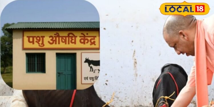 अब पशुओं की सेहत से नहीं करना पडे़गा समझौता, खुलेंगे पशु औषधि केंद्र जहां मिलेंगी मार्केट से सस्ती दवाएं