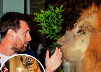 Lionel Messi Vantara Photos: अनंत अंबानी ने वंतारा में किया लियोनेल मेसी का स्वागत, फोटोज में देखिए