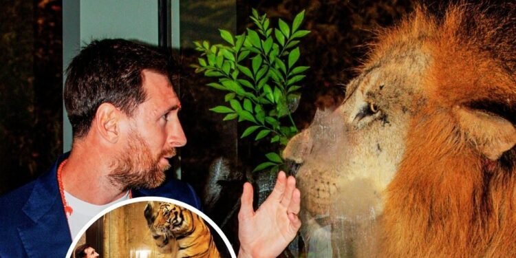 Lionel Messi Vantara Photos: अनंत अंबानी ने वंतारा में किया लियोनेल मेसी का स्वागत, फोटोज में देखिए