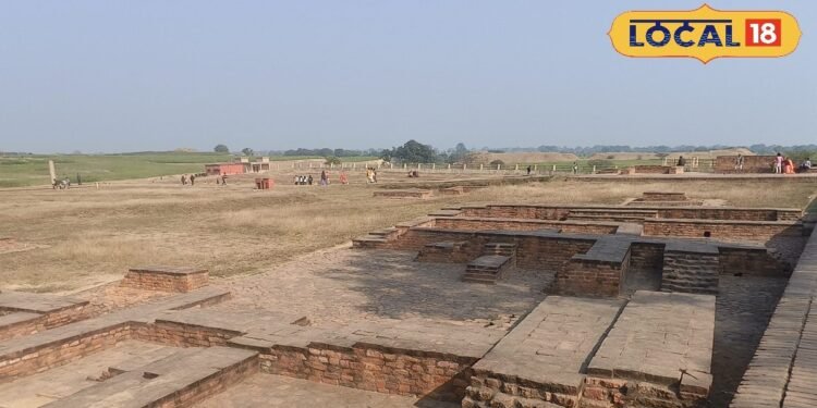 राजा परीक्षित का किला, हजारों साल पुरानी शौर्य गाथा का साक्षी, इतिहास की अनमोल धरोहर, जानें किले का रहस्‍य