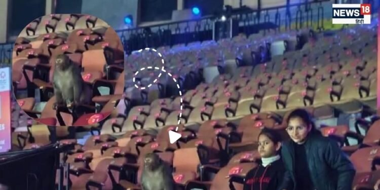 Monkey India Open Badminton Tournament: इंडिया ओपन बैडमिंटन में बंदर की मौजूदगी से आयोजक चिंतित