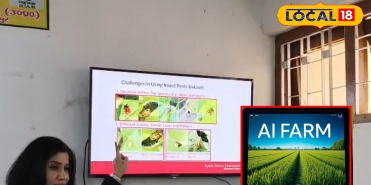 बहराइच की बेटी आरती सिंह ने बनाई AI ऐप, सिर्फ फोटो खींचो और खेत की समस्या का तुरंत समाधान!