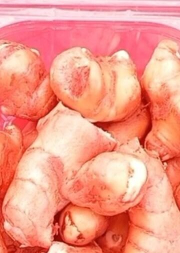 चाय में मिलेगा आम का स्वाद, कमाल है अदरक की ये वैरायटी, जिसने मुरादाबाद में मचाई है धूम