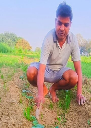 मचान विधि से करें इस सब्जी की खेती, 30 दिन में पैदावार शुरू, सीजन में होगी लाखों की कमाई