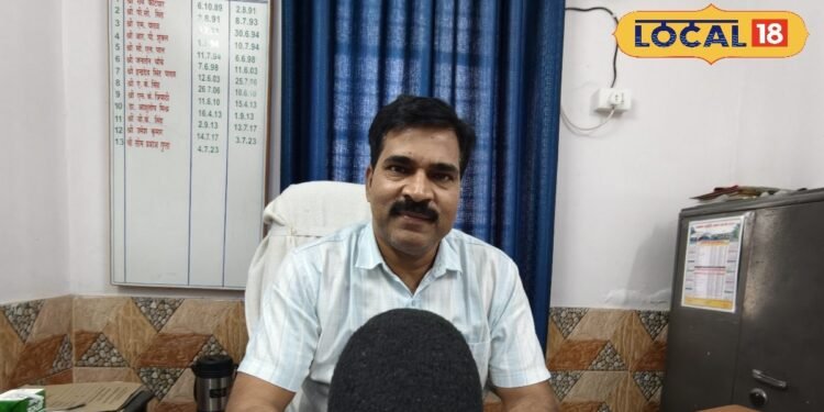 गेहूं कटाई के बाद मूंग-उर्द से खेत में कमाएं अतिरिक्त मुनाफा | Mau News