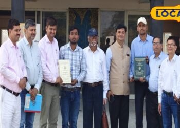 Agriculture news I खरपतवार बने सूरजमुखी की खेती में किसानों के लिए दोस्त