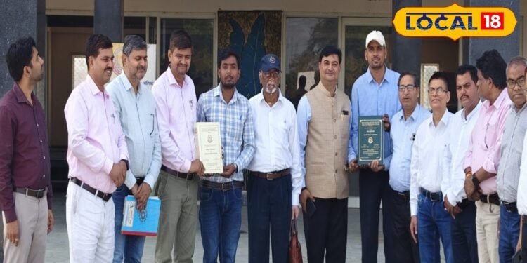 Agriculture news I खरपतवार बने सूरजमुखी की खेती में किसानों के लिए दोस्त