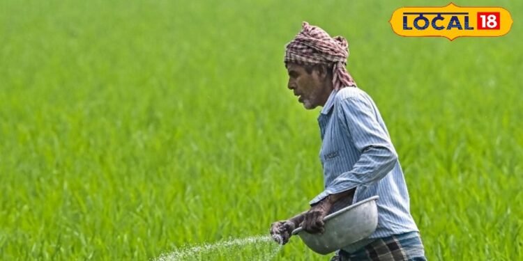 मल्चिंग से स्प्रिंकलर तक…तेज गर्मी से सब्जी की फसलों को बचाएगी ये ट्रिक, खरपतवार से भी मिल जाएगी मुक्ति