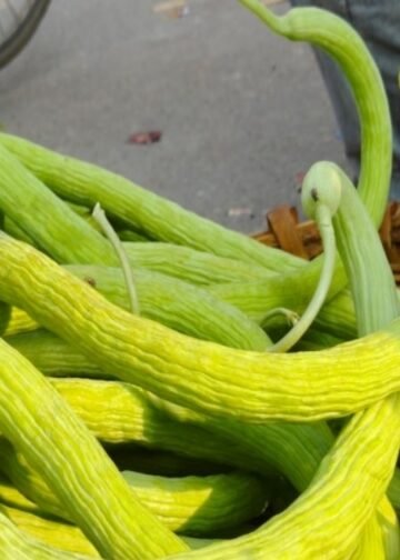 ये हरी चीज शरीर के लिए नेचुरल AC, भीषण गर्मी भी हो जाएगी बेअसर, वजन घटाने में माहिर, कई रोगों का तोड़