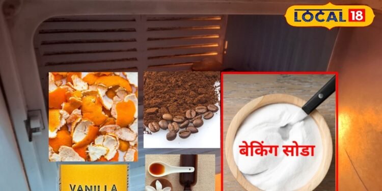 Kitchen Tips। Fridge Kaise Saaf Karein। Fridge se badboo kaise bhagayein। फ्रीज से बदबू कैसे भगाएं। Tips And Tricks