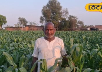 दही, गुड़, तांबा और लोहे से बहराइच के किसान ने बनाया ऐसा स्प्रे, मक्के की फसल के लिए वरदान, जानें तरीका