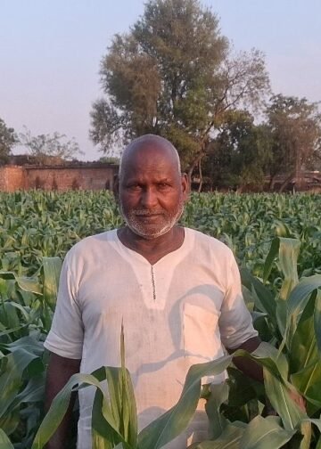 दही, गुड़, तांबा और लोहे से बहराइच के किसान ने बनाया ऐसा स्प्रे, मक्के की फसल के लिए वरदान, जानें तरीका