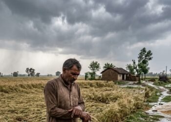 यूपी के इन 35 जिलों में भारी बारिश और ओलावृष्टि का अलर्ट, 60 किमी की रफ्तार से चलेंगी हवाएं, पढ़ें मौसम का हाल