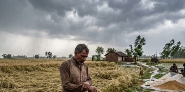 यूपी के इन 35 जिलों में भारी बारिश और ओलावृष्टि का अलर्ट, 60 किमी की रफ्तार से चलेंगी हवाएं, पढ़ें मौसम का हाल