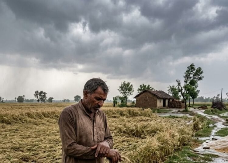 यूपी के इन 35 जिलों में भारी बारिश और ओलावृष्टि का अलर्ट, 60 किमी की रफ्तार से चलेंगी हवाएं, पढ़ें मौसम का हाल