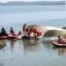 Jabalpur Cruise Tragedy labors save many life through ropes inside story जबलपुर क्रूज हादसा: मौत के तांडव के बीच ‘देवदूत’ बने मजदूर, रस्सियों के सहारे बचाई दर्जन भर जानें, Madhya-pradesh Hindi News