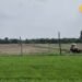 Paddy Nursery I धान की नर्सरी