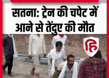 Satna में ट्रेन ने तेंदुए को कुचला, वन विभाग में हड़कंप। Leopard Death in Satna