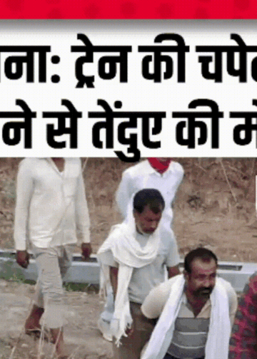 Satna में ट्रेन ने तेंदुए को कुचला, वन विभाग में हड़कंप। Leopard Death in Satna