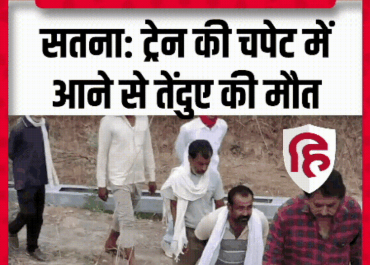 Satna में ट्रेन ने तेंदुए को कुचला, वन विभाग में हड़कंप। Leopard Death in Satna