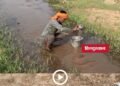 सिंगरौली के खैराही गांव में पेयजल संकट गहराया, नदी के गड्ढों से पानी भरने को मजबूर 100 से अधिक परिवार
