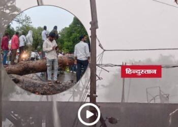 मालवा के कई शहरों में तेज आंधी और बारिश से तबाही, शाजापुर में पेड़ गिरने से सड़क बंद, बिजली ठप