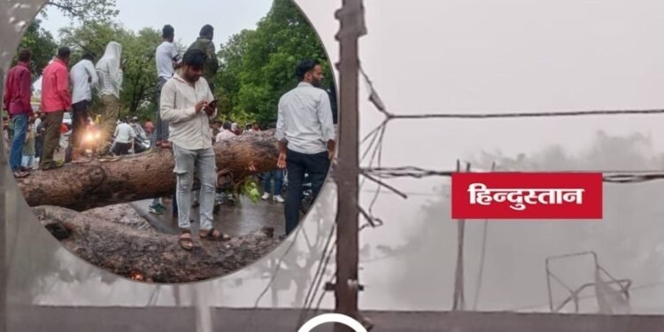 मालवा के कई शहरों में तेज आंधी और बारिश से तबाही, शाजापुर में पेड़ गिरने से सड़क बंद, बिजली ठप