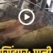 पानी की टंकी पर चढ़ा सांड, भयंकर वीडिया वायरल