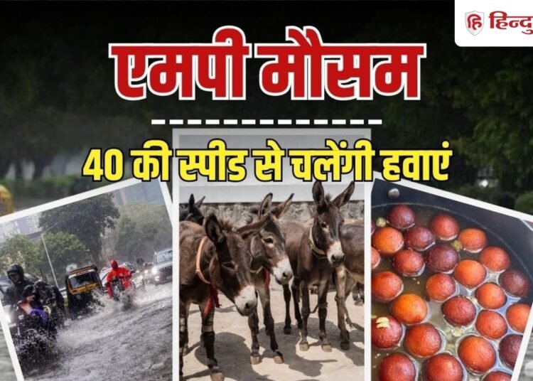 एमपी में बारिश के लिए टोटका; गधों को खिलाए गुलाब जामुन, आज इन जिलों में येलो अलर्ट, Madhya-pradesh Hindi News