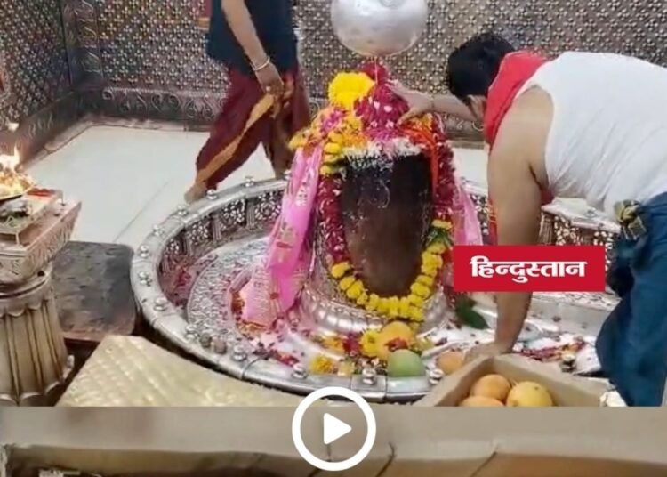 उज्जैन में बाबा महाकाल को चढ़ाए ₹2.5 लाख किलो वाले आम, जबलपुर के भक्त 12 साल से कर रहे अर्पित, मध्य प्रदेश वीडियो न्यूज