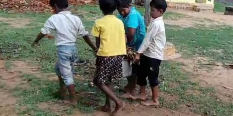 शहडोल के सरकारी स्कूल में बच्चों से झाड़ियों की सफाई का VIDEO वायरल, जहरीले जीवों के खतरे के बीच उठे सवाल, मध्य प्रदेश वीडियो न्यूज