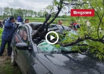 नरसिंहपुर में बारिश के दौरान चलती कार पर गिरा विशाल इमली का पेड़, एक घायल, मध्य प्रदेश वीडियो न्यूज